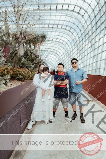 family_B_001