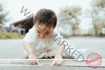 family_E_005