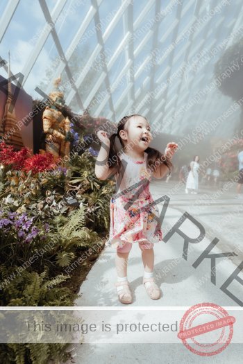 family_F_003