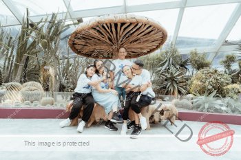 family_M_002