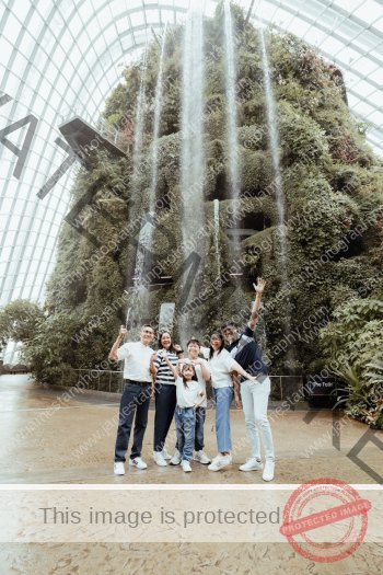 family_O_001