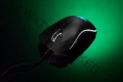 Razer Green