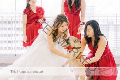 KY_ZB_wedding_2022_0021