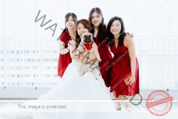 wedding_A_017