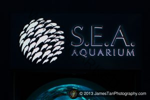Photography Tips: Shooting in Aquarium
