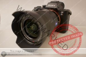 Review – Sony A7R II