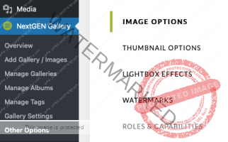 How To Fix NextGen Gallery Pro Thumbnail Sharpness?