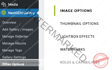 NextGen Gallery Pro Settings