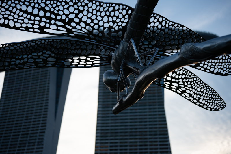 understand a lens – bokeh